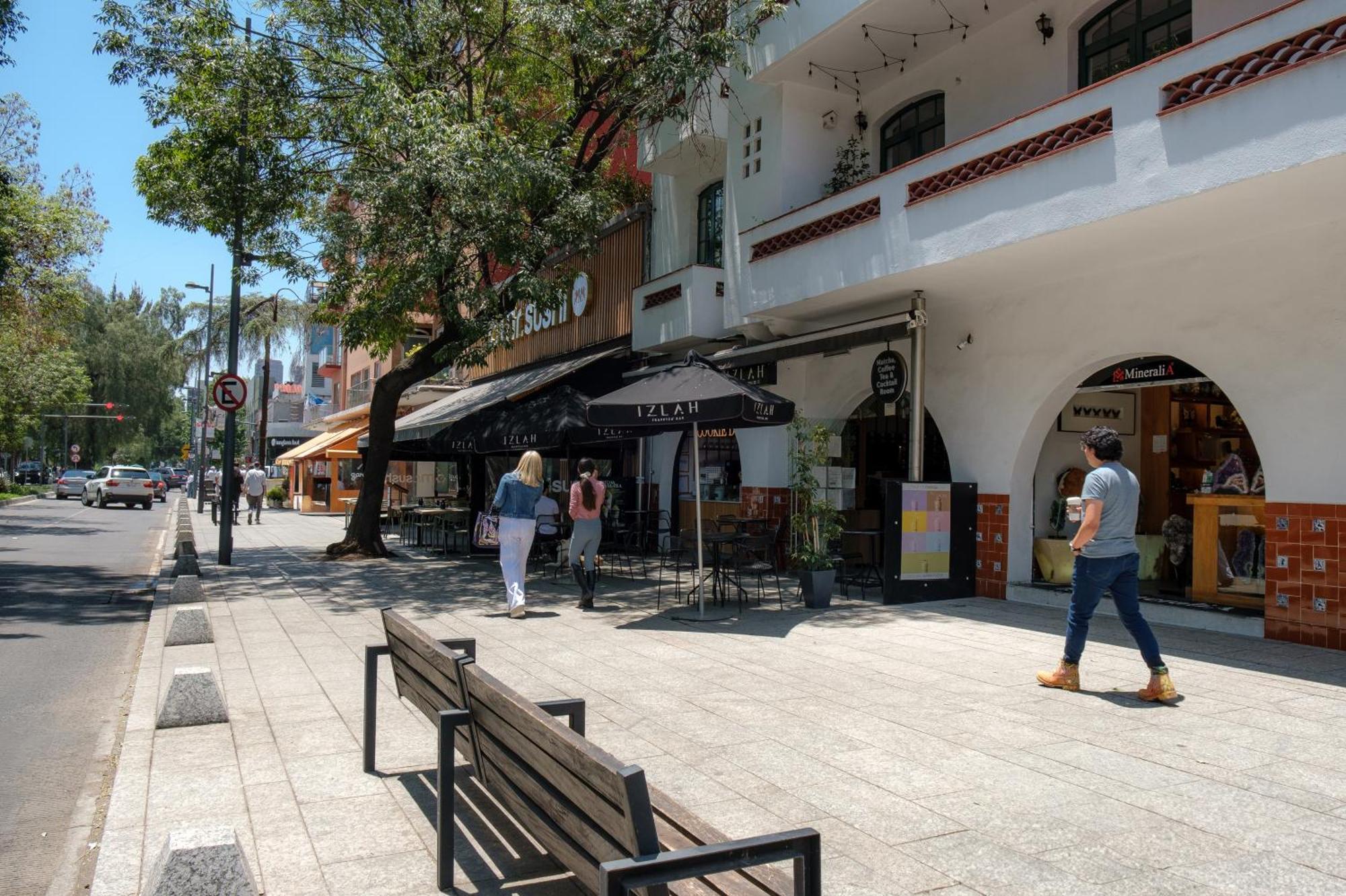 Casa Itzae B&B Polanquito Dog Friendly Mexico City Exterior photo